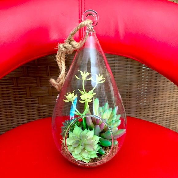 Artificial succulents inside glass teardrop shaped terrarium - Picture 1 of 4
